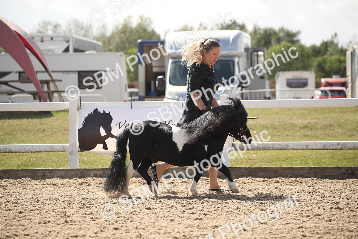 SBM_23102 - Class 606 - 2026 - Area - IH Pre Vet