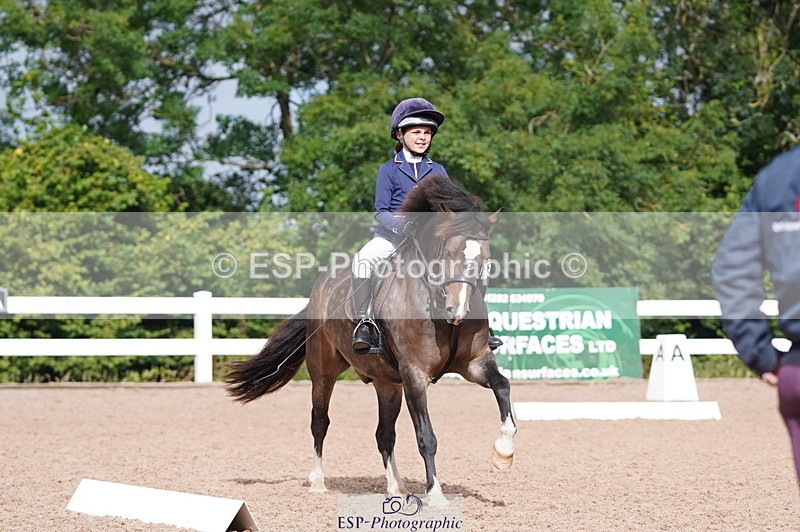 240809A-100044-00394 - Dressage Competition