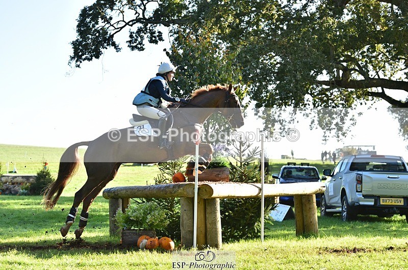 231022-103328-25351 - 213-MGH.HILDARE.HARLEQUIN-Danielle.Mccormack-XC