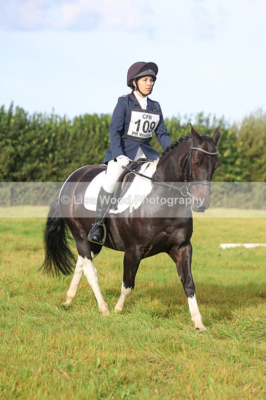 3E7A5464 - Class 1: Trebudannon Open: Dressage