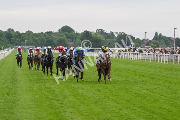 250524-Race 2-Arabie-2962 - Race 2 2.10pm Reg Bond 'Always And Forever' EBF Restricted Novice Stakes