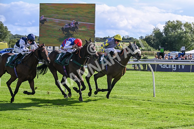 080926-Race 4-Kings Merchant-2515 - Race 4 3.36pm Fifth Regiment Royal Artillery Handicap (Div II)