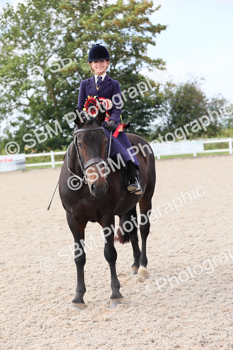 SBM_14605 - Class 211 Best Side Saddle Horse/Pony