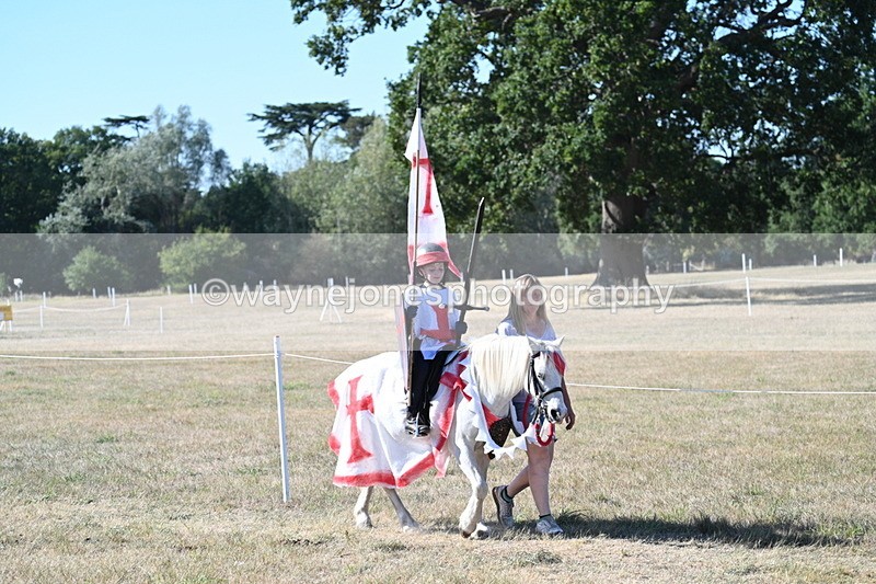WJ7_2530 - Class 45 Fancy Dress (My Fav)