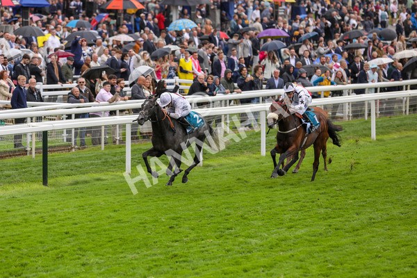 130724-Race 4-Alsakib-2070 - Race 4 3.45pm John Smith's Silver Cup Stakes