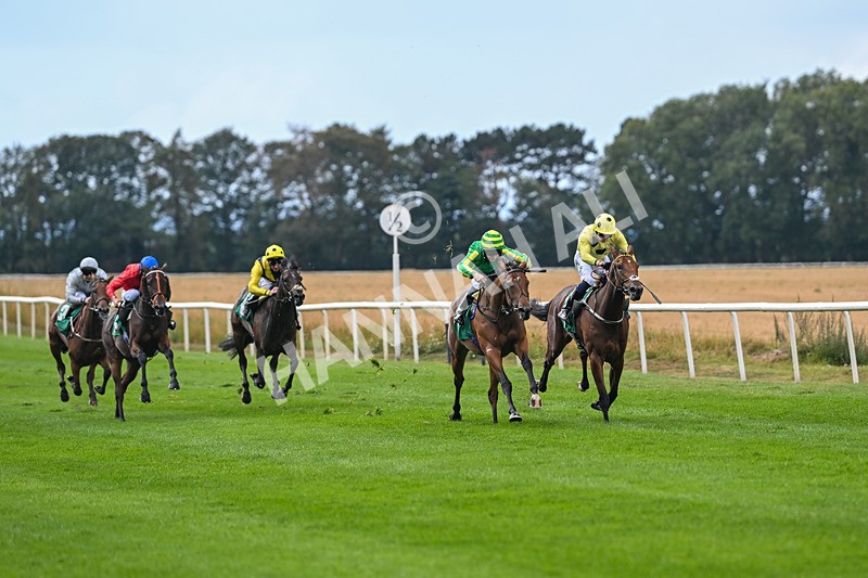 290825-Race 2-Brigids Well-8346 - Race 2