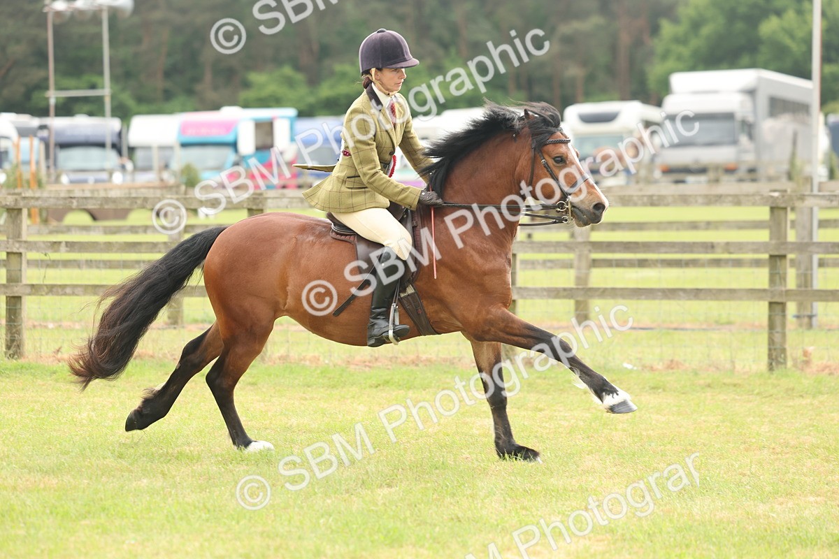 SBM_09137 - Class 78-80 - Ridden M&M Non Welsh Ponies