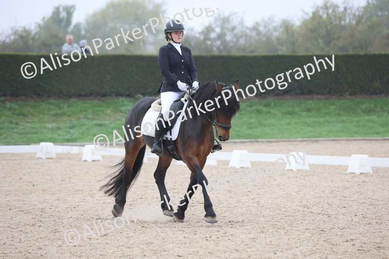 20251012-0511 - Class 4 - Novice 6