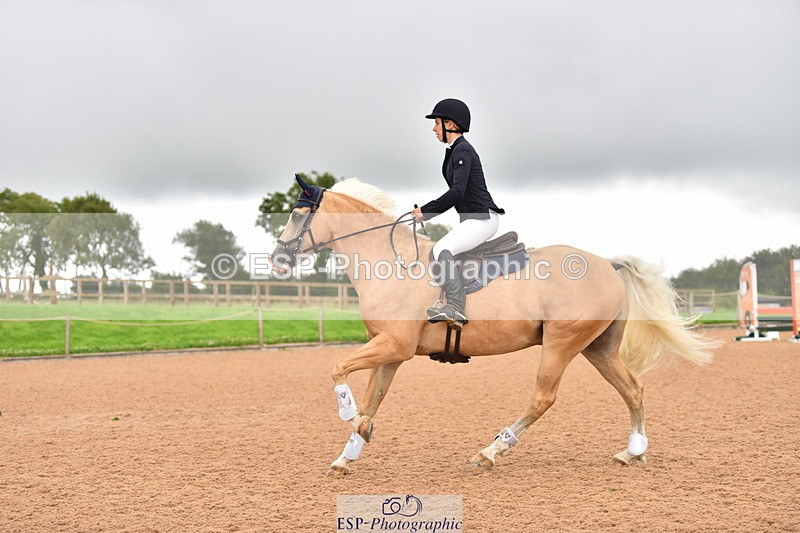 230808A-170426-00252 - 80cm