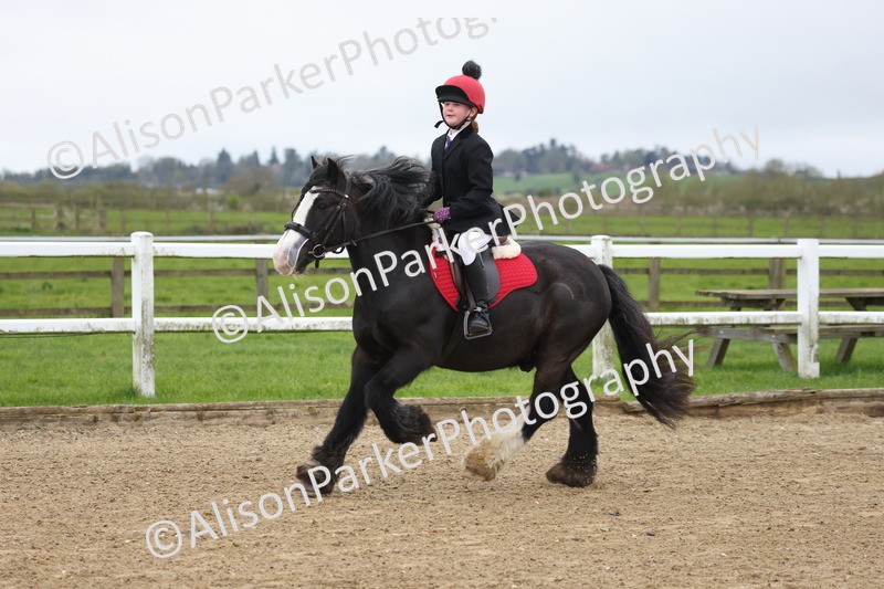 20260403-0061 - Class 1 - 40cm