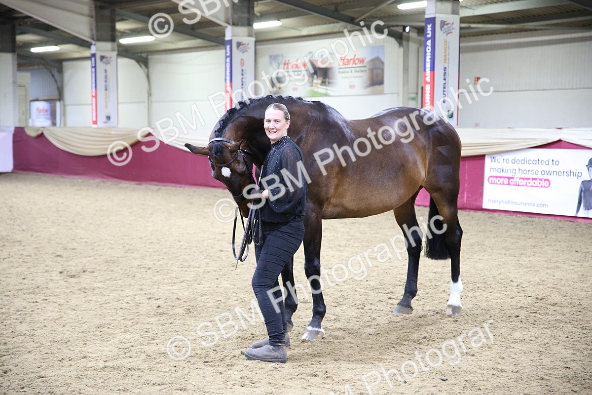 SBM_18833 - Class E IH Horse Champ