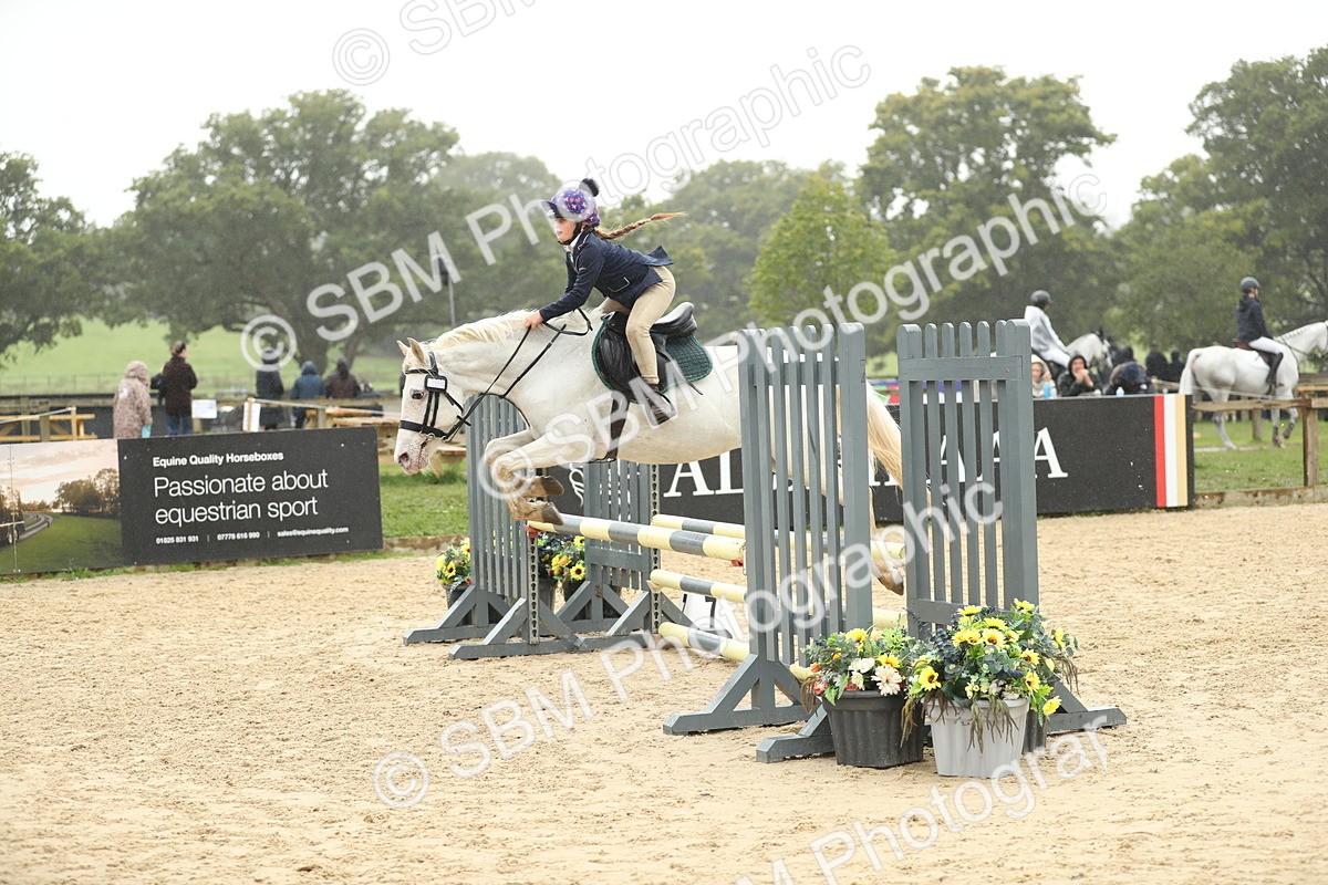SBM_73801 - J16 - Junior Pony 75cm Championship