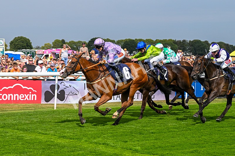 240825-Race 1-Light Speed-1469 - Race 1