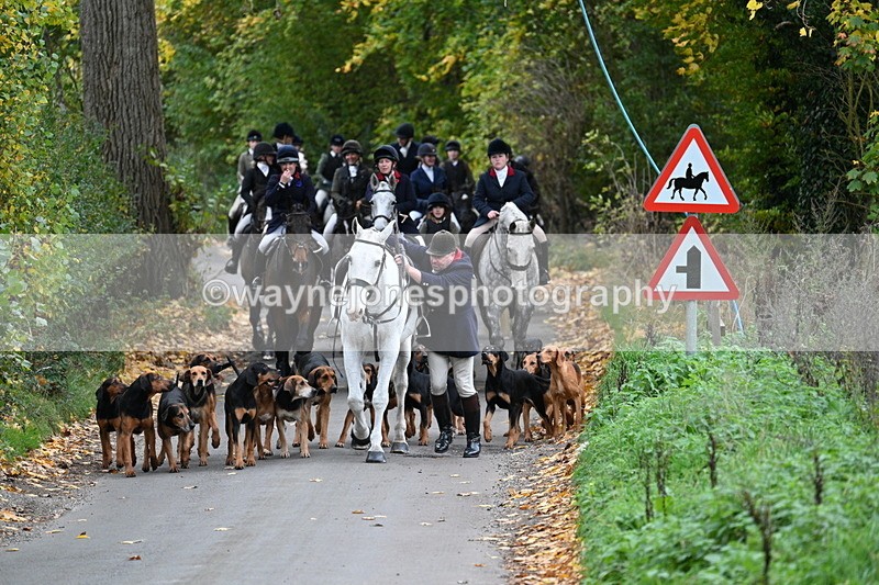 WJ7_7120 - Walk Home..