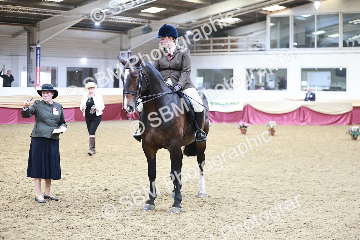 SBM_08849 - Class 12R - Regional Ridden Pre-Vet