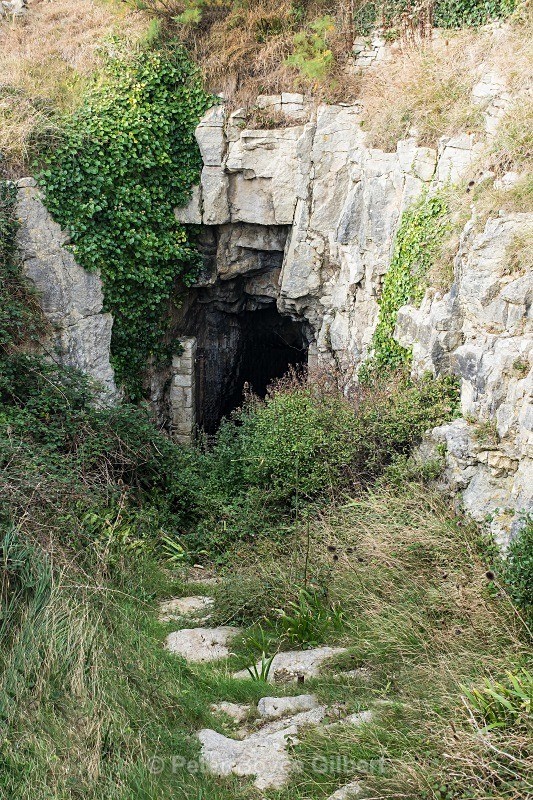 The overgrown entrance to Tilley Whim caves, Durlston - The Coast