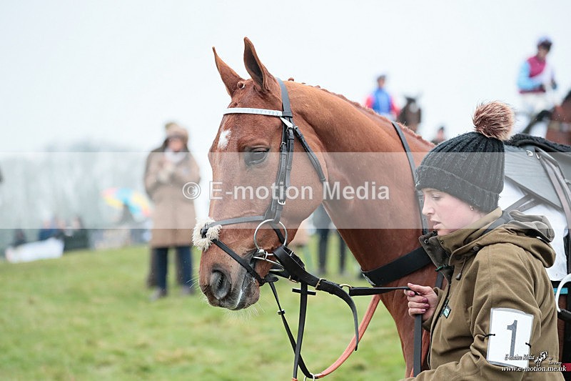 PtP 100324 761 - Pytchley with Woodland Point-to-Point Guilsborough 10/03/24