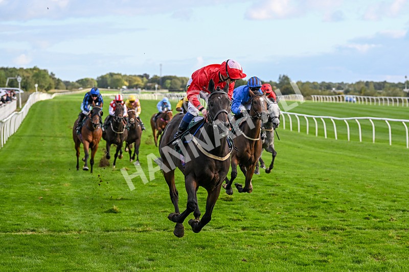 021024-Race 6-Redrosezorro-9657 - Race 6