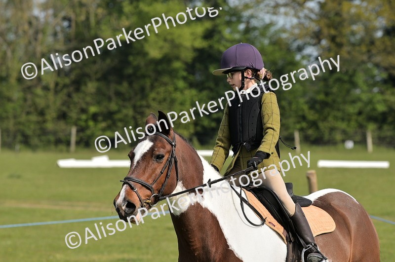 20260426-0908 - Class 18 - Novice Showing