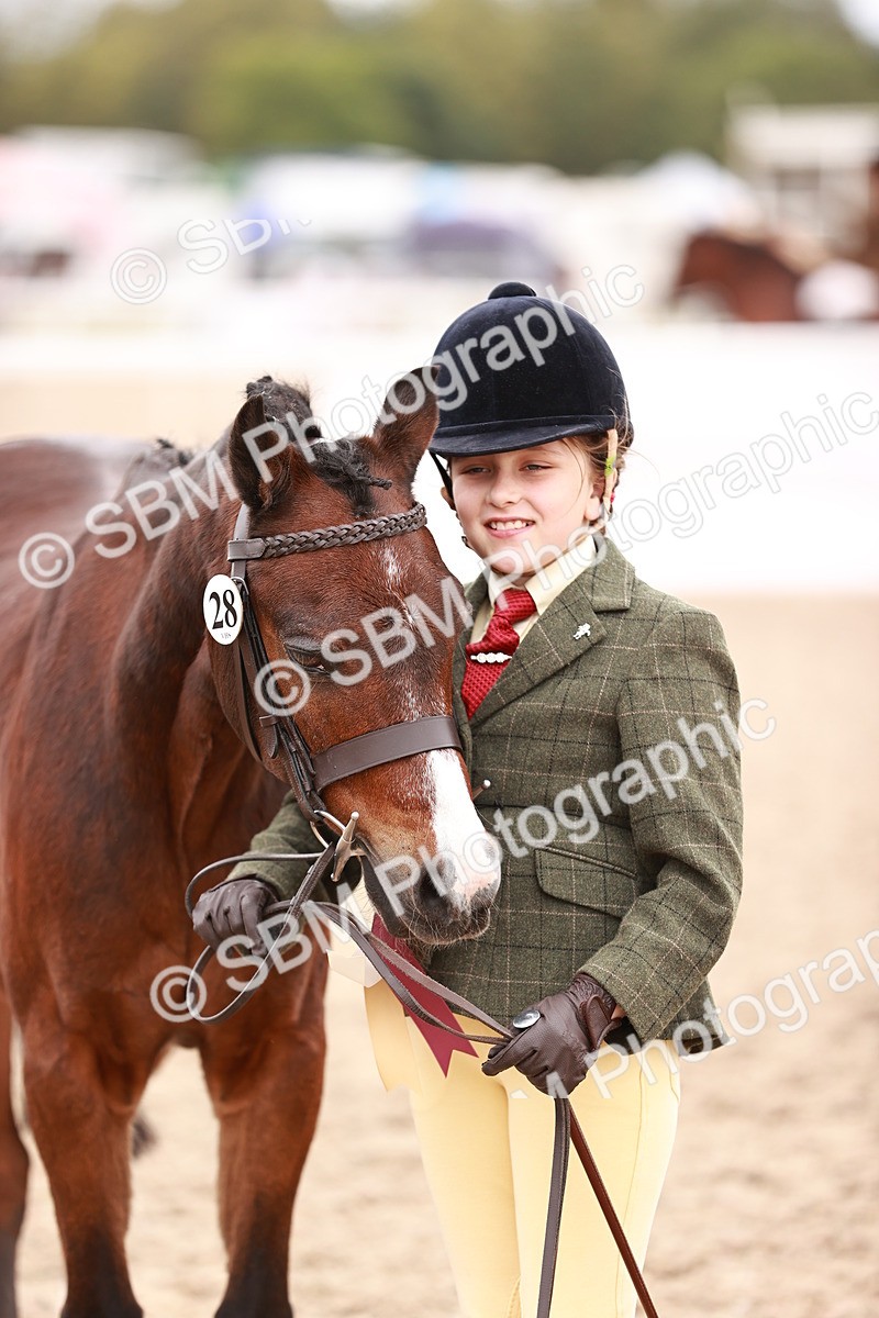 SBM_18631 - Class 421 - Childs Best Friend - Jnr