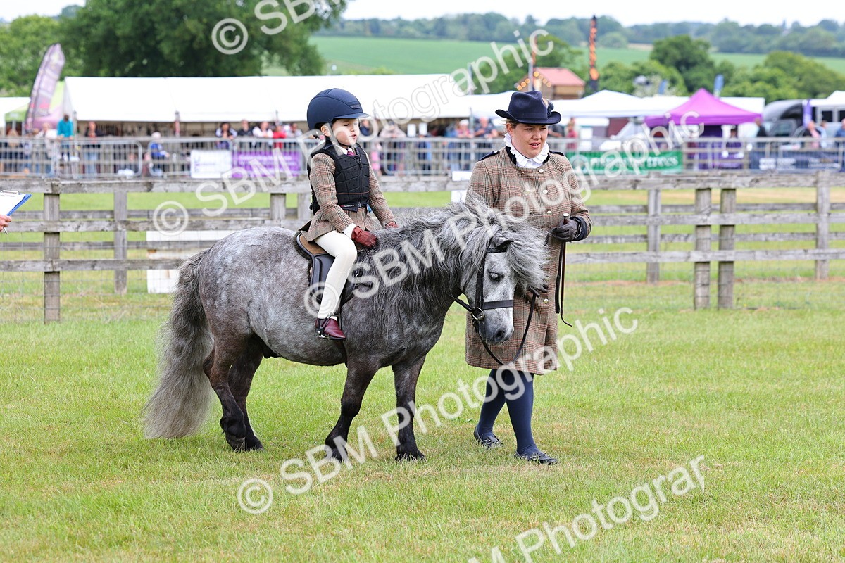SBM_08111 - Class 42-43 - LIHS BSPS Heritage Working Sports Pony