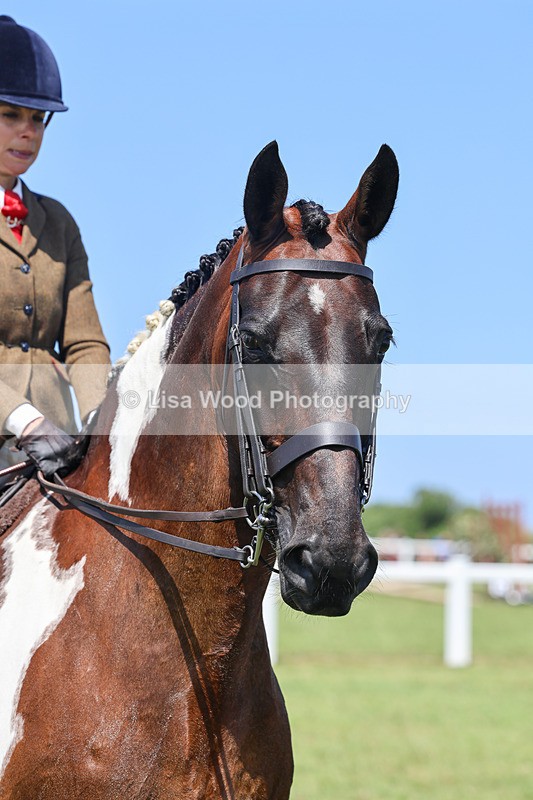 IMG_2537 - Class 38: Veteran Ridden