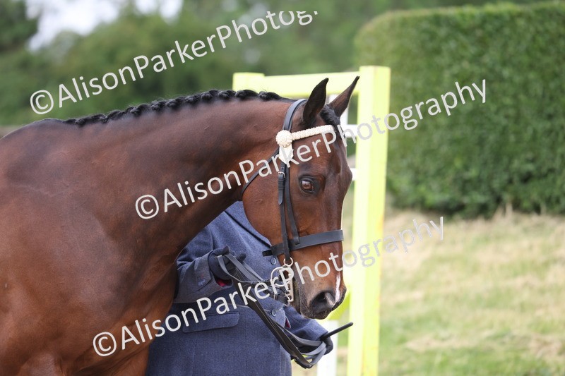 20250524-0643 - Class 7 - Veteran