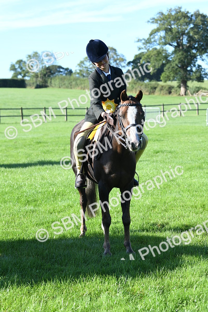 SBM_34115 - S16 - Condition & Turnout - Ridden