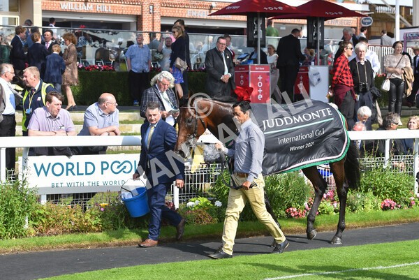 yr18082021r4-167 - Race 4 3.35pm Juddmonte International Stakes (British Champion Series race)