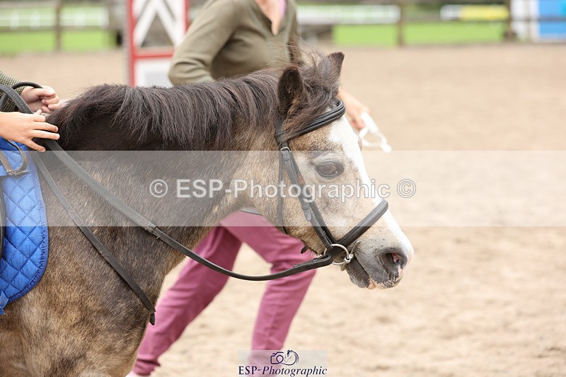 240822X-122755-06612 - 40cm LR R1 12.20 to 14.10