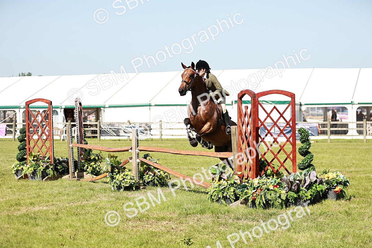 SBM_18835 - Class 114 - RIHS & SEIB Open Working Show Horse