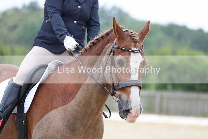 3E7A8009 - Class 1: Intro 3 2024 section A