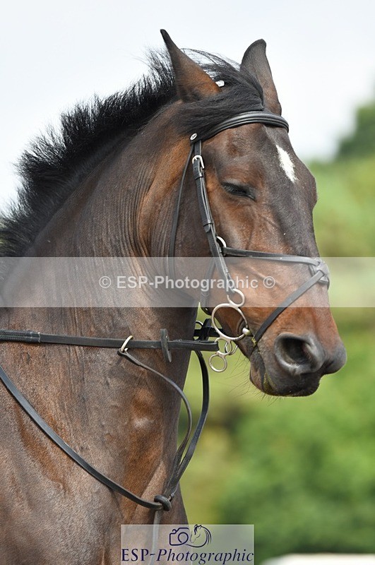 230817-104444-01772 - Kay's 2nd Group - Arena