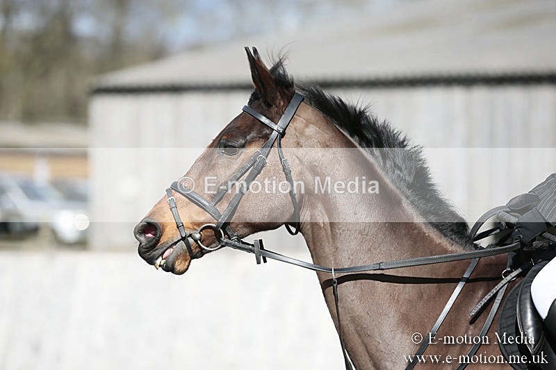 BVRC SJ 170319 163 - Bourne Valley Riding Club Showjumping 17/03/19