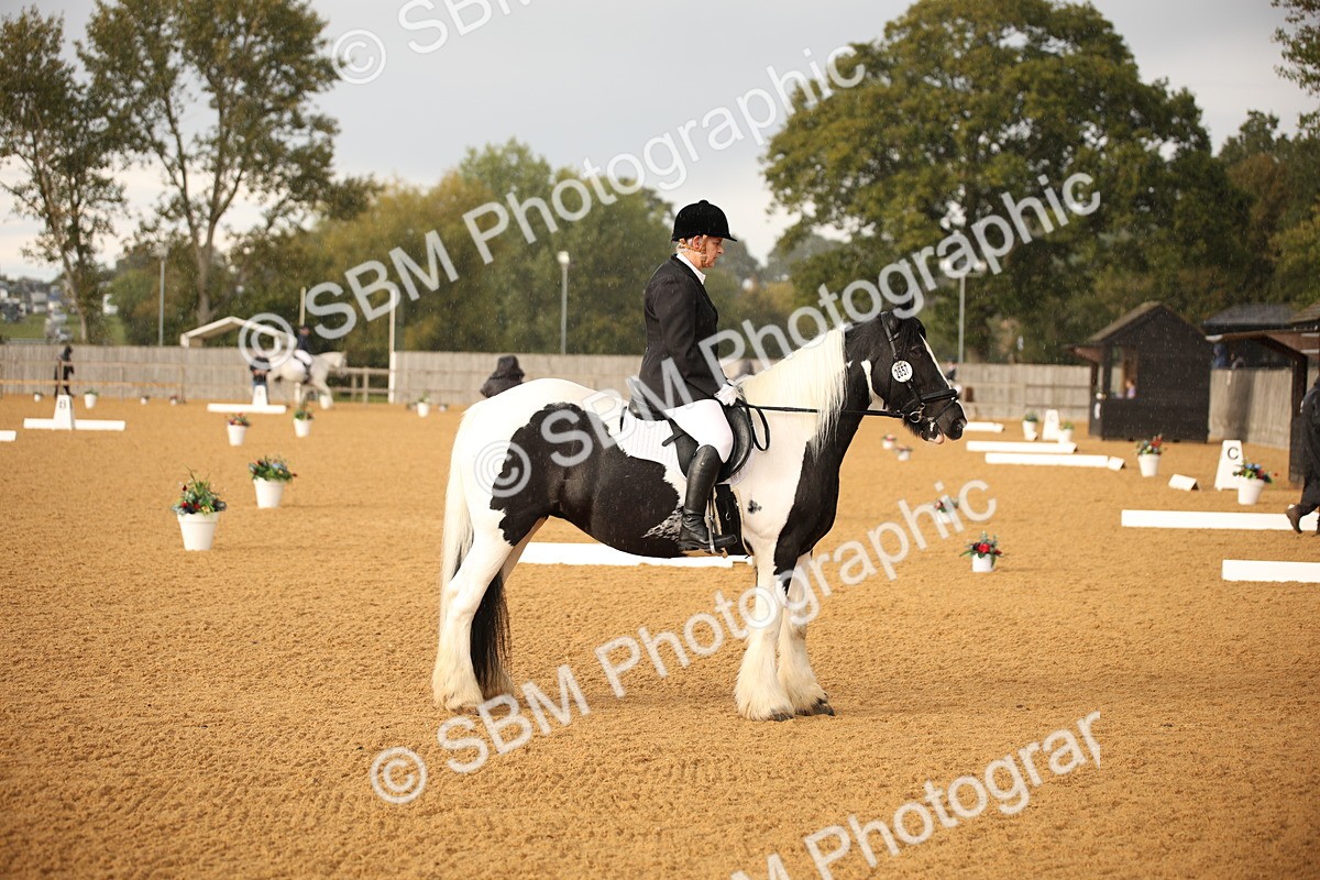 SBM_12393 - D3 Small  Tour Championship Intro A