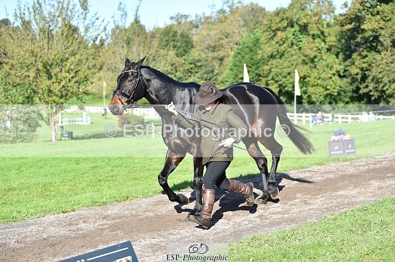 231022-110432-23702 - 506-WOODSTOCK-Gemma.Wood-TrotUp+SJ