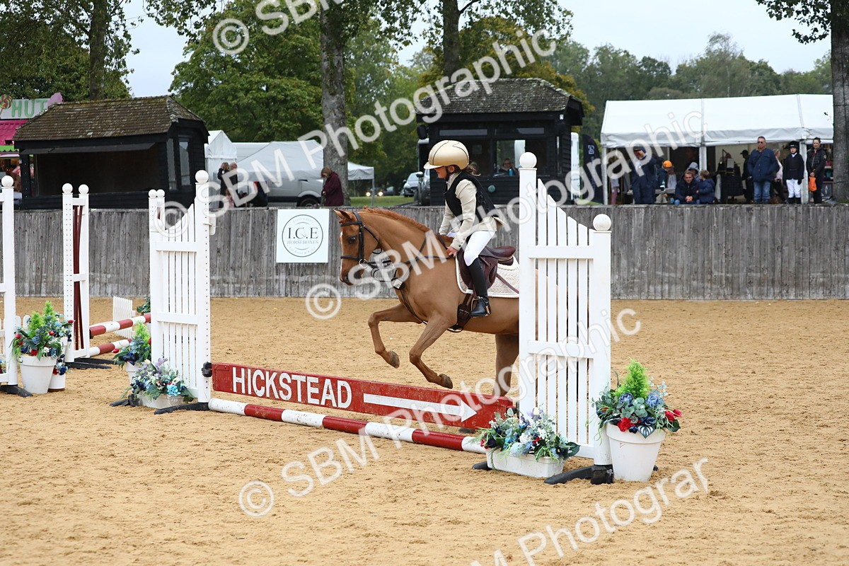 SBM_72027 - J3b - Mini Tour Junior Pony 40cm Championship