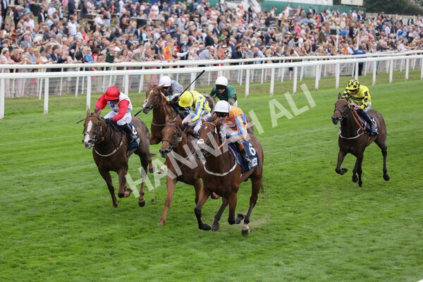 yr18082022r7-21 - Race 7 5.20pm British Stallion Studs EBF Fillies' Stakes