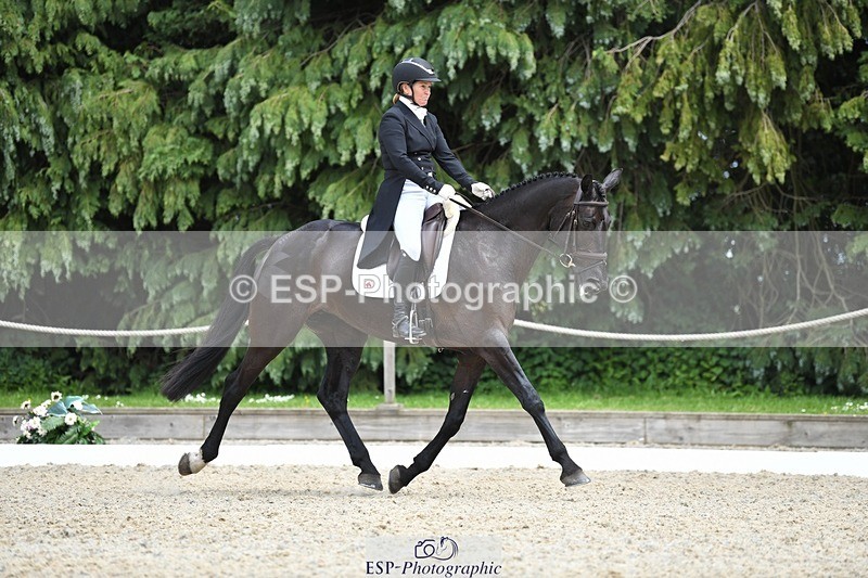 230525-140110-03068 - 317-FERNHILL_KANKAN-Jonelle_Price-WEDTrotUp+DR