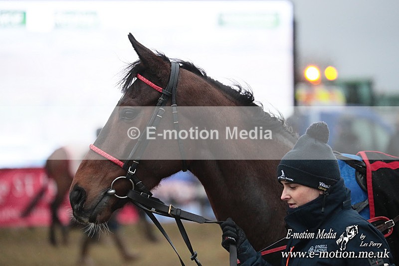 PtP 260125 965 - Cocklebarrow Point-to-Point racing with the Heythrop Hunt 26/01/25