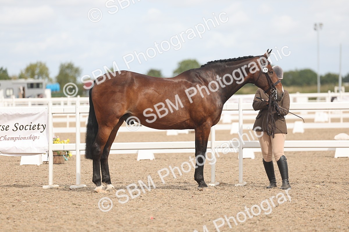 SBM_04953 - Class 20 - IH Veteran