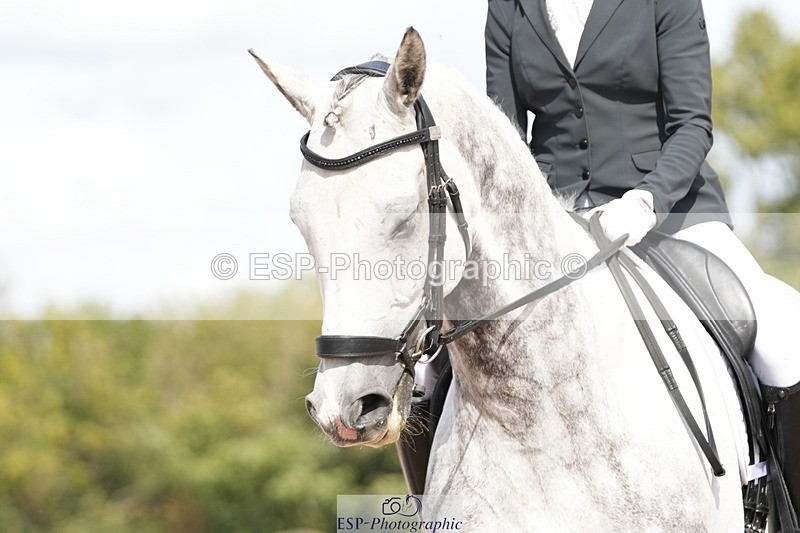 250906-123652-02401 - 072-Jan.ChoppingSeal