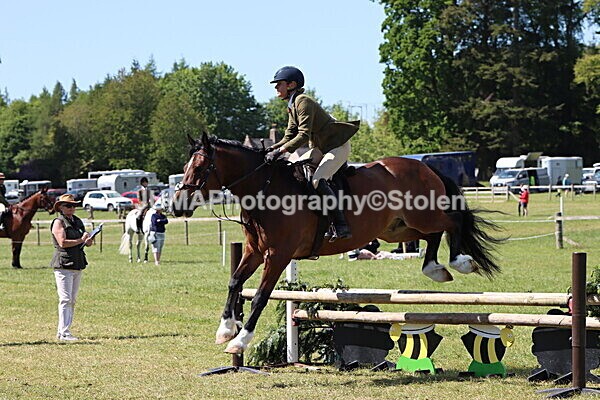 IMG_4223 - Working Hunter