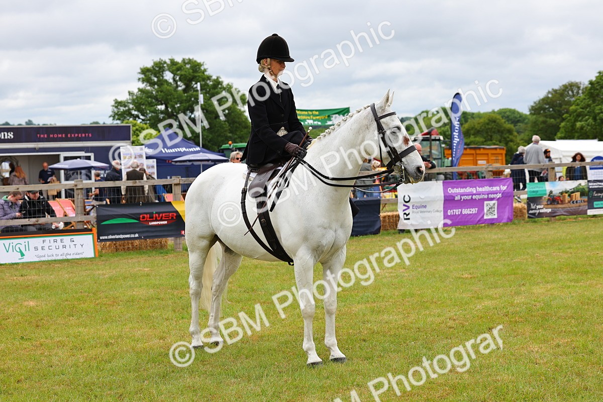 SBM_02762 - Class 9-11 Side Saddle including LIHS Rising Star Ladies Show Horse