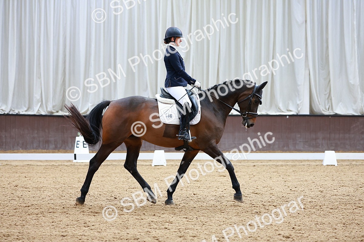 SBM_001467 - Class 5 - Novice 5