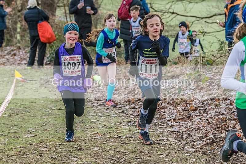 Cumbria XC-54 - Cumbria Cross Country Championships (Junior & Senior Races) Saturday 3rd January 2026