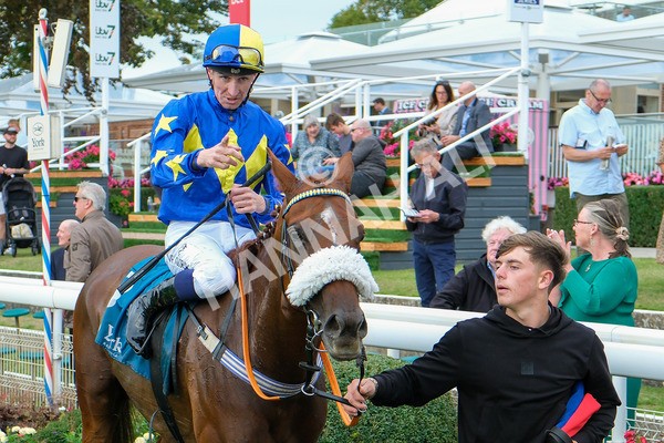 080925-Race 3-Rock N Roll Pinkie-8547 - Race 3 3.30pm Skybet Proud To Support ROR Stayers Handicap
