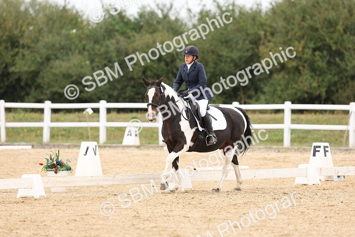 SBM_00891 - Class 8 - Novice 27 Champs