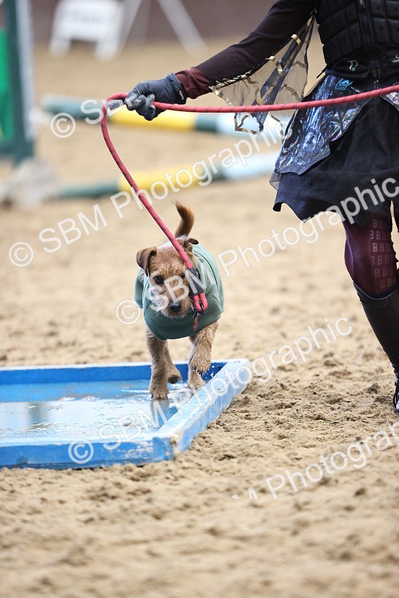 SBM_001540 - Class 3 - Horse & Hound 60cm
