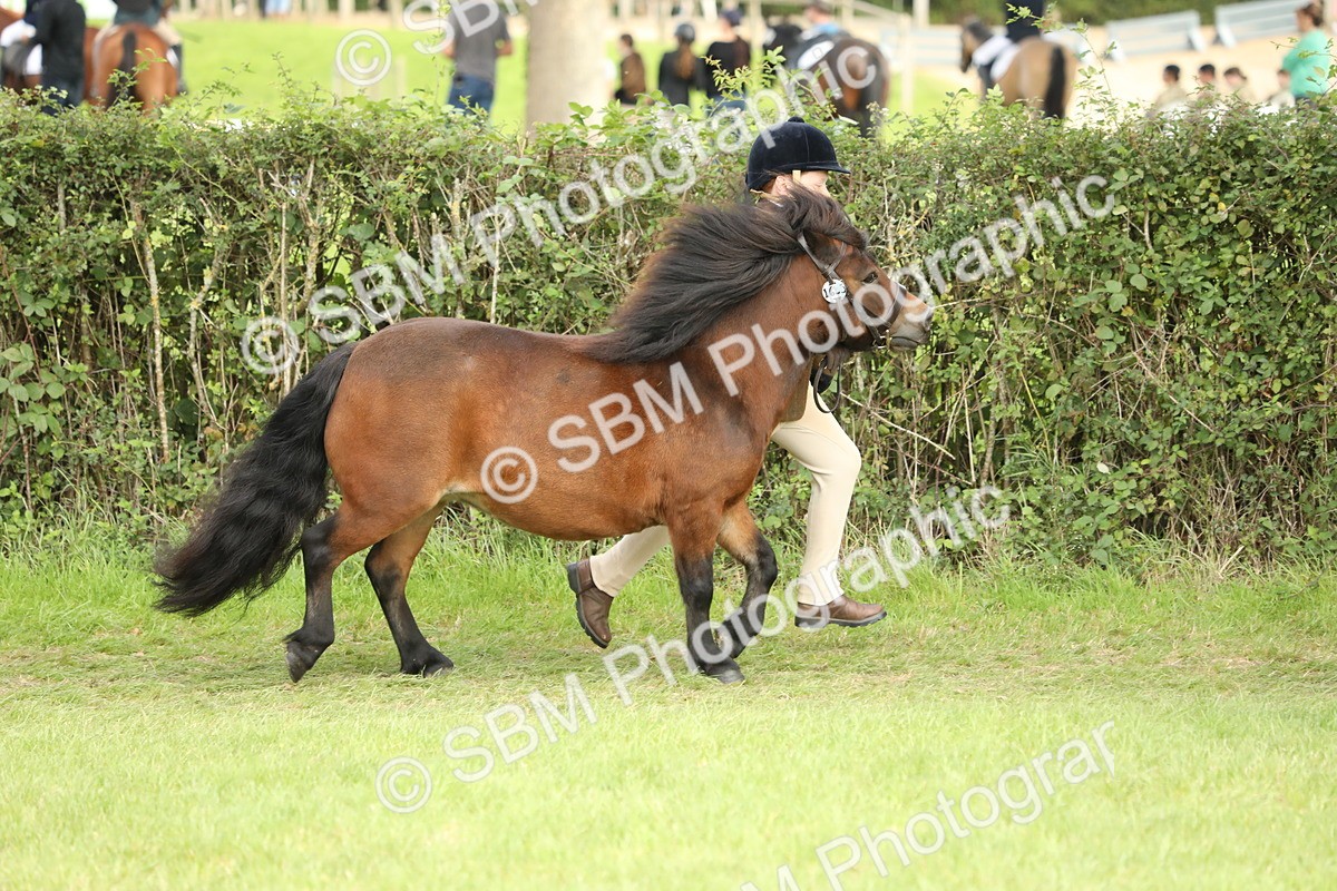 SBM_68537 - S40 - Junior Handler 9-12 Years